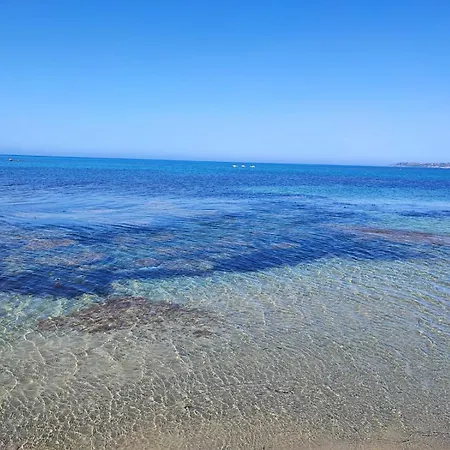 Kaila مونتاليغرو