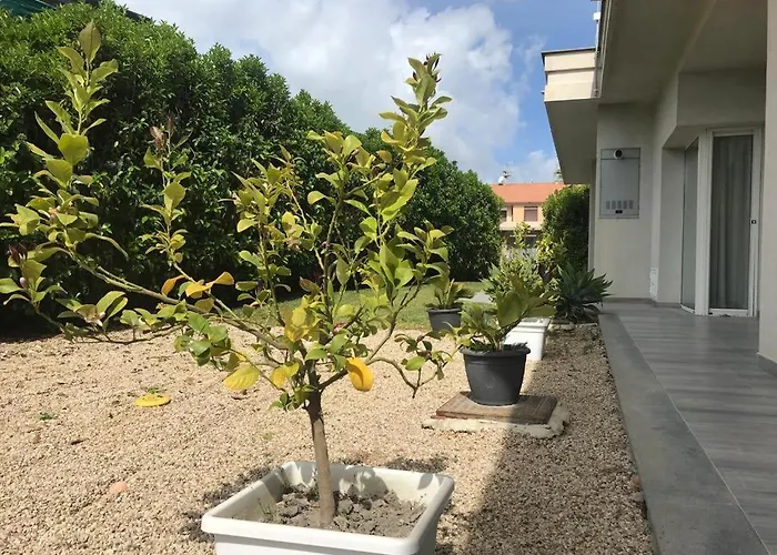 Kaila מונטאלגרו